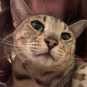 Meet your Posher, Monica